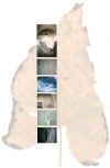 stille1.JPG (26878 Byte)