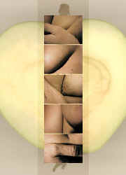 silence8.jpg (33241 Byte)