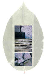 i_silent/silent1.jpg (27610 Byte)