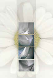 silent2.jpg (25429 Byte)