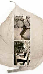 silent3.jpg (19657 Byte)