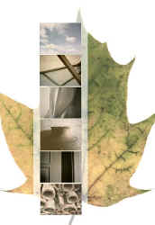 silent4.jpg (31411 Byte)